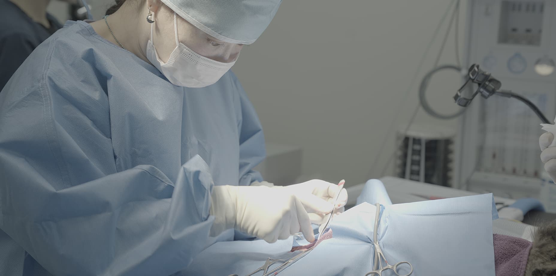 옥길아라동물의료센터 내부 전경